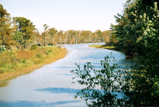 Cache river near Ullin IL Southernmost IL