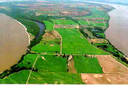 New Madrid River loop looking north.